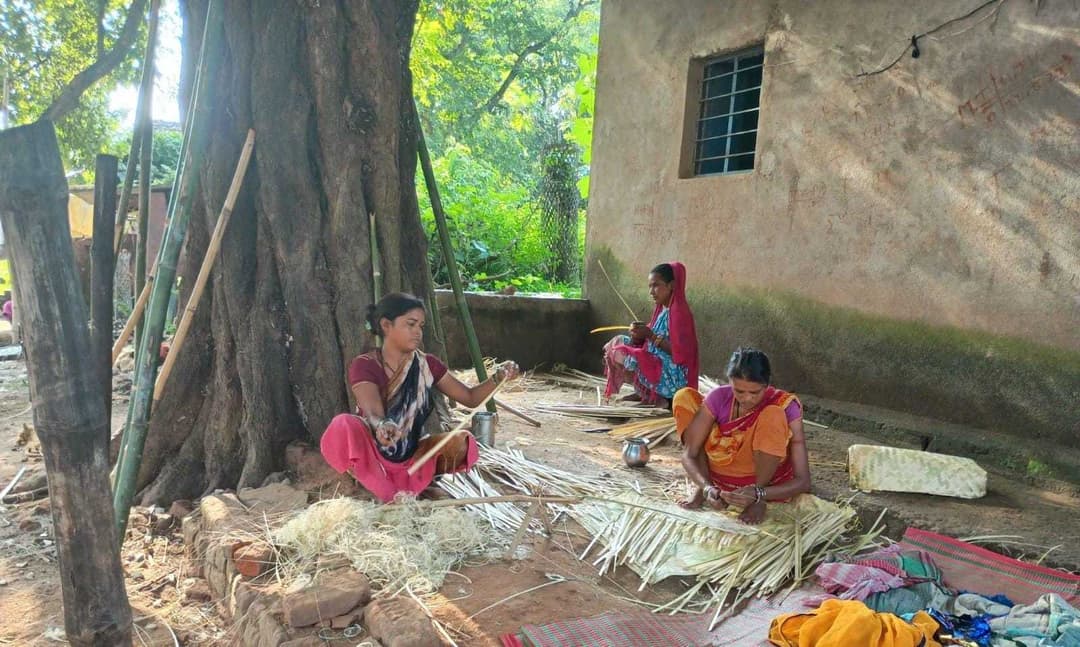 Community harvesting and sustainable livelihoods